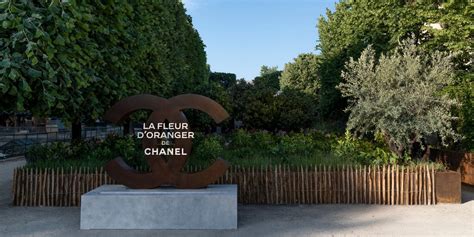 la fleur d'oranger chanel|Événement Jardins, Jardin .